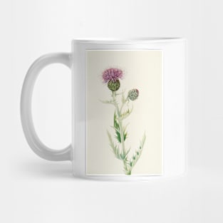 Prairie Thistle - Botanical Illustration Mug